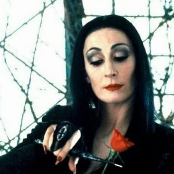 Meet your Posher, Chrissy - Picture 1 of 1